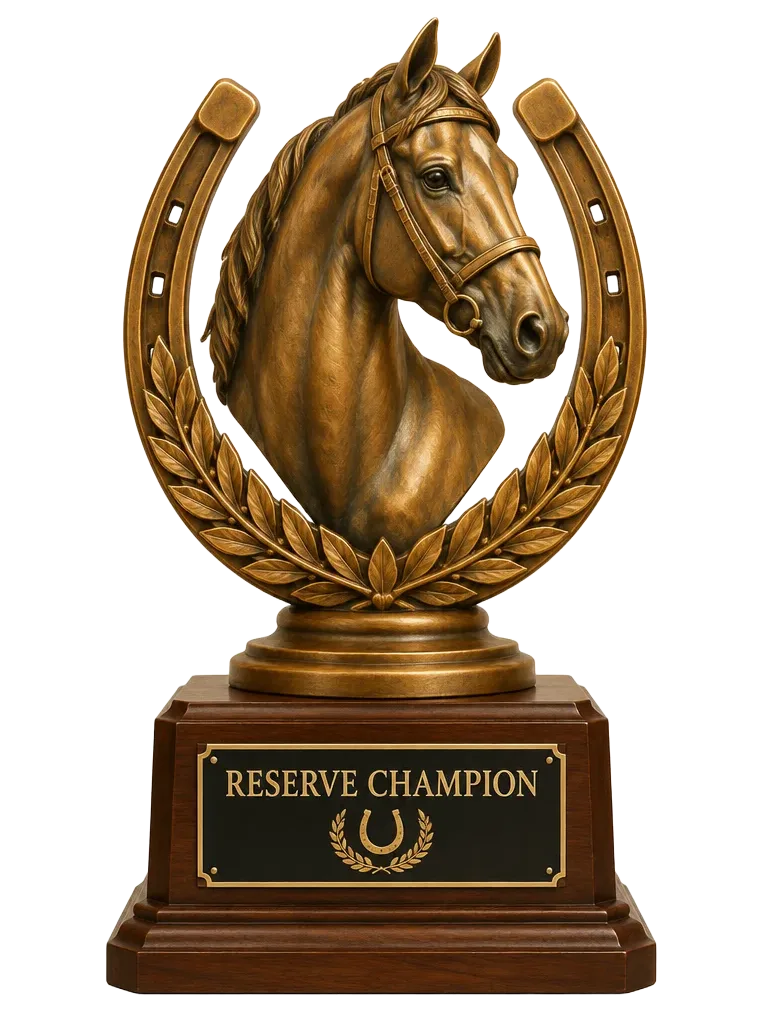 Reserve Champion trophy